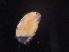  ( - BarCrust 439)  @12 [ ] CreativeCommons - Attribution Non-Commercial Share-Alike (2015) A. Hobæk Norwegian Institute for Water Research