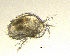  ( - BarCrust 466)  @11 [ ] CreativeCommons - Attribution Non-Commercial Share-Alike (2015) A. Hobæk Norwegian Institute for Water Research