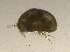  ( - BarCrust 468)  @11 [ ] CreativeCommons - Attribution Non-Commercial Share-Alike (2015) A. Hobæk Norwegian Institute for Water Research