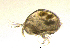  ( - BarCrust 472)  @11 [ ] CreativeCommons - Attribution Non-Commercial Share-Alike (2015) A. Hobæk Norwegian Institute for Water Research