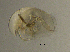  ( - BarCrust 49)  @11 [ ] CreativeCommons - Attribution Non-Commercial Share-Alike (2015) A. Hobæk Norwegian Institute for Water Research