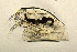  ( - BarCrust 50)  @11 [ ] CreativeCommons - Attribution Non-Commercial Share-Alike (2015) A. Hobæk Norwegian Institute for Water Research