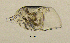  ( - BarCrust 55)  @12 [ ] CreativeCommons - Attribution Non-Commercial Share-Alike (2015) A. Hobæk Norwegian Institute for Water Research