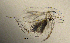  ( - BarCrust 70)  @11 [ ] CreativeCommons - Attribution Non-Commercial Share-Alike (2015) A. Hobæk Norwegian Institute for Water Research