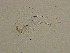  ( - BarCrust 76)  @11 [ ] CreativeCommons - Attribution Non-Commercial Share-Alike (2015) A. Hobæk Norwegian Institute for Water Research