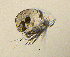  ( - BarCrust 80)  @12 [ ] CreativeCommons - Attribution Non-Commercial Share-Alike (2015) A. Hobæk Norwegian Institute for Water Research