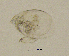  ( - BarCrust 86)  @11 [ ] CreativeCommons - Attribution Non-Commercial Share-Alike (2015) A. Hobæk Norwegian Institute for Water Research