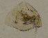  ( - BarCrust 96)  @11 [ ] CreativeCommons - Attribution Non-Commercial Share-Alike (2015) A. Hobæk Norwegian Institute for Water Research
