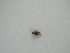  ( - H 18)  @12 [ ] Unspecified (default): All Rights Reserved  Unspecified Unspecified