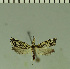  (Zovax - SQ_2022_005_001)  @11 [ ] Unspecified (default): All Rights Reserved  Timm Karisch Unspecified