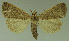  ( - SQ_2022_005_010)  @11 [ ] Unspecified (default): All Rights Reserved  Timm Karisch Unspecified