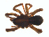  ( - BIOUG02049-D08)  @13 [ ] CC-0  G. Blagoev 2011 Unspecified