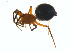  ( - BIOUG02049-F05)  @13 [ ] CC-0  G. Blagoev 2011 Unspecified