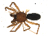  ( - CCDB-05149-A02)  @12 [ ] CC-0  G. Blagoev 2010 Unspecified