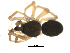 ( - CCDB-05149-A04)  @12 [ ] CC-0  G. Blagoev 2010 Unspecified