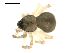  ( - CCDB-05149-D11)  @12 [ ] CC-0  G. Blagoev 2010 Unspecified