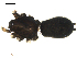 ( - CCDB-05149-E04)  @12 [ ] CC-0  G. Blagoev 2010 Unspecified
