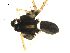  ( - CCDB-05149-F01)  @12 [ ] CC-0  G. Blagoev 2010 Unspecified