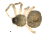  ( - CCDB-05149-G03)  @12 [ ] CC-0  G. Blagoev 2010 Unspecified