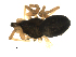  ( - CCDB-05149-G07)  @12 [ ] CC-0  G. Blagoev 2010 Unspecified