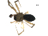  ( - CCDB-05149-G12)  @12 [ ] CC-0  G. Blagoev 2010 Unspecified
