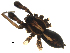  ( - CCDB-05149-H05)  @12 [ ] CC-0  G. Blagoev 2010 Unspecified