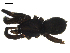  ( - CCDB-05149-H10)  @12 [ ] CC-0  G. Blagoev 2010 Unspecified