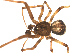  ( - CCDB-05258-H09)  @12 [ ] CreativeCommons - Attribution  Gergin Blagoev, Centre for Biodiversity Genomics Centre for Biodiversity Genomics