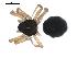  ( - CCDB-08822-B02)  @12 [ ] CC-0  G. Blagoev 2010 Unspecified