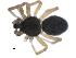  ( - CCDB-08822-C12)  @13 [ ] CC-0  G. Blagoev 2010 Unspecified