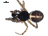  ( - CCDB-08822-F10)  @12 [ ] CC-0  G. Blagoev 2010 Unspecified