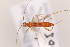  ( - MRS_1005)  @11 [ ] CreativeCommons - Attribution Non-Commercial (2019) Unspecified National Museums Scotland