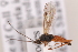  ( - MRS_930)  @11 [ ] CreativeCommons - Attribution Non-Commercial (2019) Unspecified National Museums Scotland