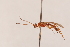  ( - MRS_967)  @11 [ ] CreativeCommons - Attribution Non-Commercial (2019) Unspecified National Museums Scotland