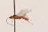  ( - MRS_976)  @11 [ ] CreativeCommons - Attribution Non-Commercial (2019) Unspecified National Museums Scotland