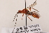  ( - MRS_980)  @11 [ ] CreativeCommons - Attribution Non-Commercial (2019) Unspecified National Museums Scotland