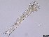  ( - 1665_14-7-94)  @11 [ ] Unspecified (default): All Rights Reserved  Unspecified Unspecified