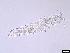  (Paramesochrinae - 1122_9-9-57)  @11 [ ] Unspecified (default): All Rights Reserved  Frederic Bonk Unspecified