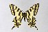  ( - DNAwth_ALE_09)  @11 [ ] by-nc (2020) Wolfgang Ten Hagen Unspecified