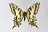  ( - DNAwth_ALE_09)  @11 [ ] by-nc (2020) Wolfgang Ten Hagen Unspecified
