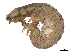 ( - CBG-A51944-G10)  @11 [ ] CreativeCommons - Attribution Share Alike (2025) CBG Photography Group Centre for Biodiversity Genomics