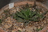  ( - BHD134)  @11 [ ] Unspecified (default): All Rights Reserved  Unspecified Unspecified