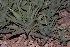  ( - BHD135)  @11 [ ] Unspecified (default): All Rights Reserved  Unspecified Unspecified