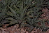  ( - BHD135)  @11 [ ] Unspecified (default): All Rights Reserved  Unspecified Unspecified