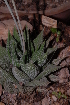  ( - BHD159)  @11 [ ] Unspecified (default): All Rights Reserved  Unspecified Unspecified