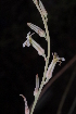  ( - BHD159)  @11 [ ] Unspecified (default): All Rights Reserved  Unspecified Unspecified