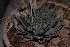 ( - BHD160)  @11 [ ] Unspecified (default): All Rights Reserved  Unspecified Unspecified