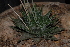  ( - BHD161)  @11 [ ] Unspecified (default): All Rights Reserved  Unspecified Unspecified