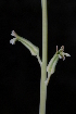  ( - BHD161)  @11 [ ] Unspecified (default): All Rights Reserved  Unspecified Unspecified