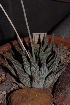  ( - BHD162)  @11 [ ] Unspecified (default): All Rights Reserved  Unspecified Unspecified